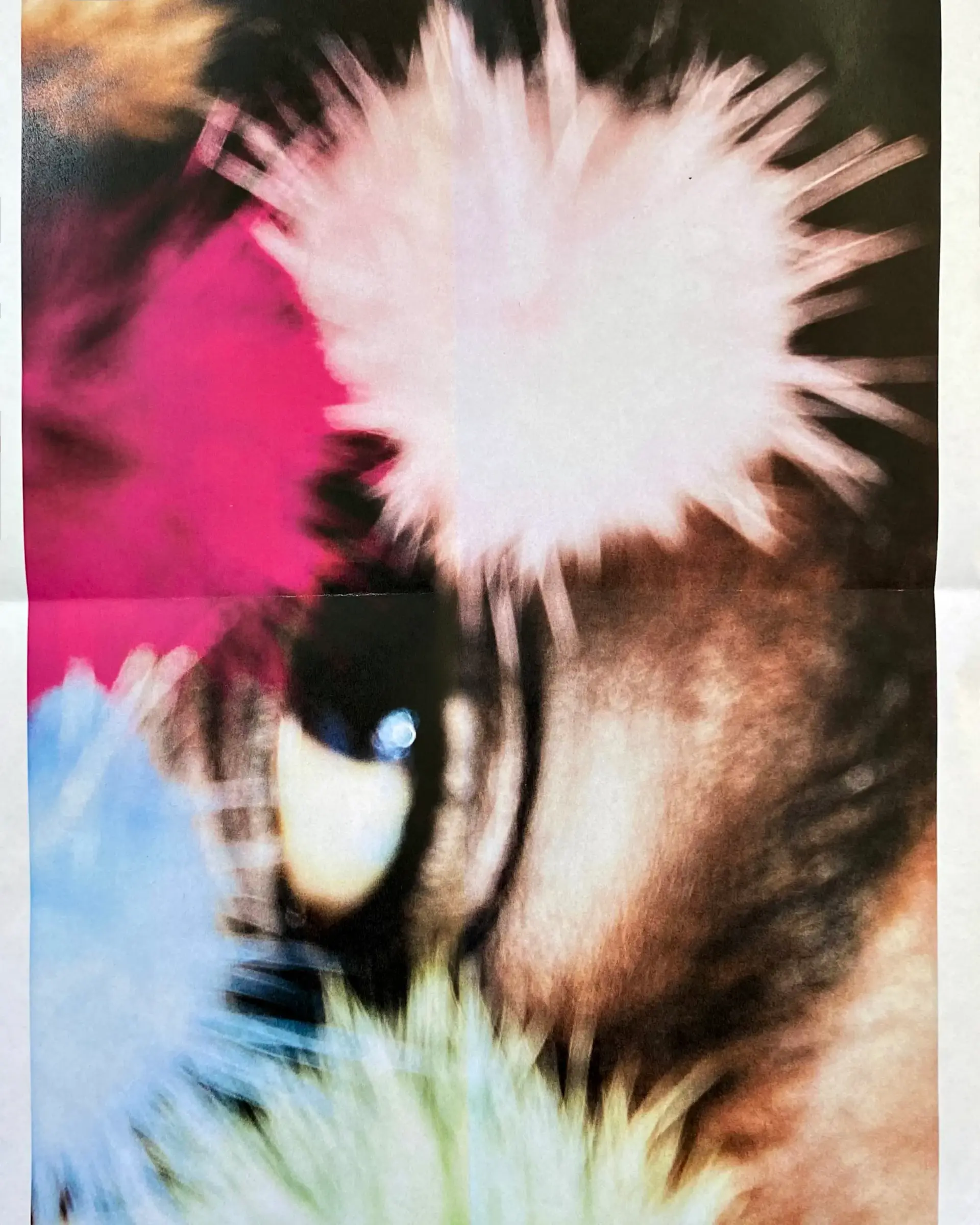 EDITORIAL gallery 1