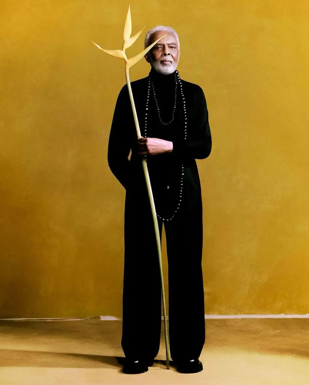 GILBERTO GIL gallery 6