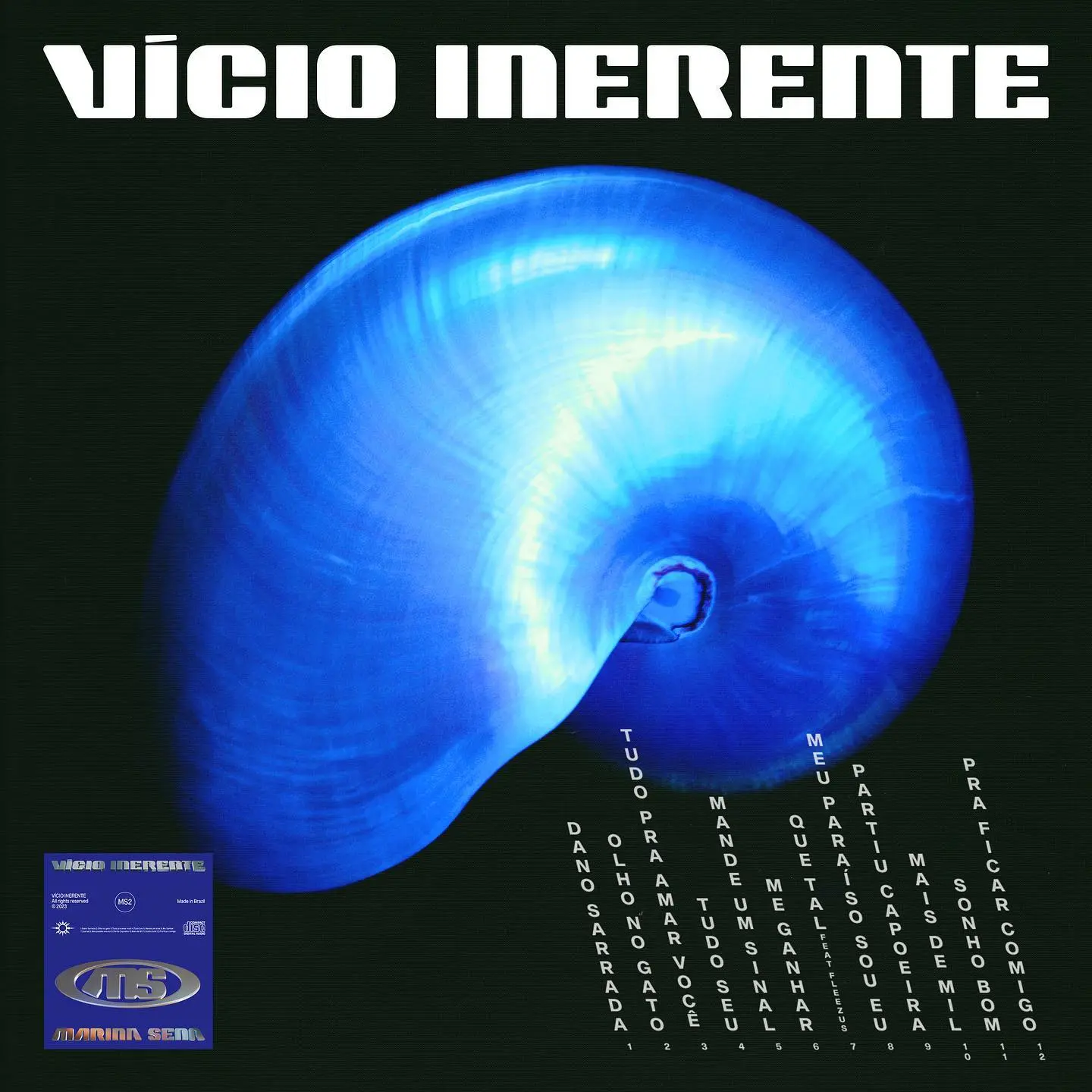 VÍCIO INERENTE gallery 1